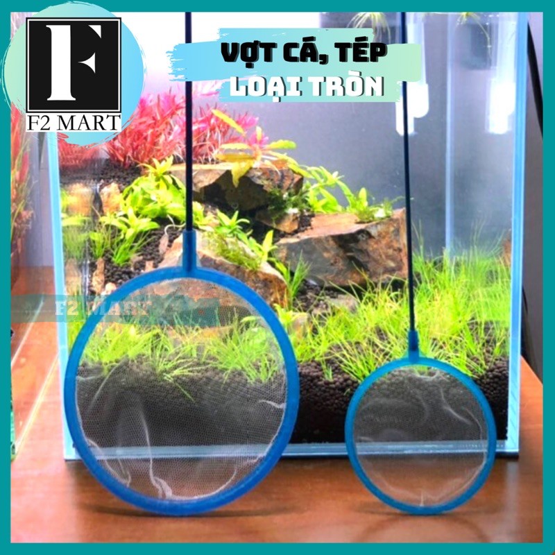 Vợt Nhỡ, Vợt Bắt Cá Tép Loại Tròn Thích Hợp Cho Cá Bé