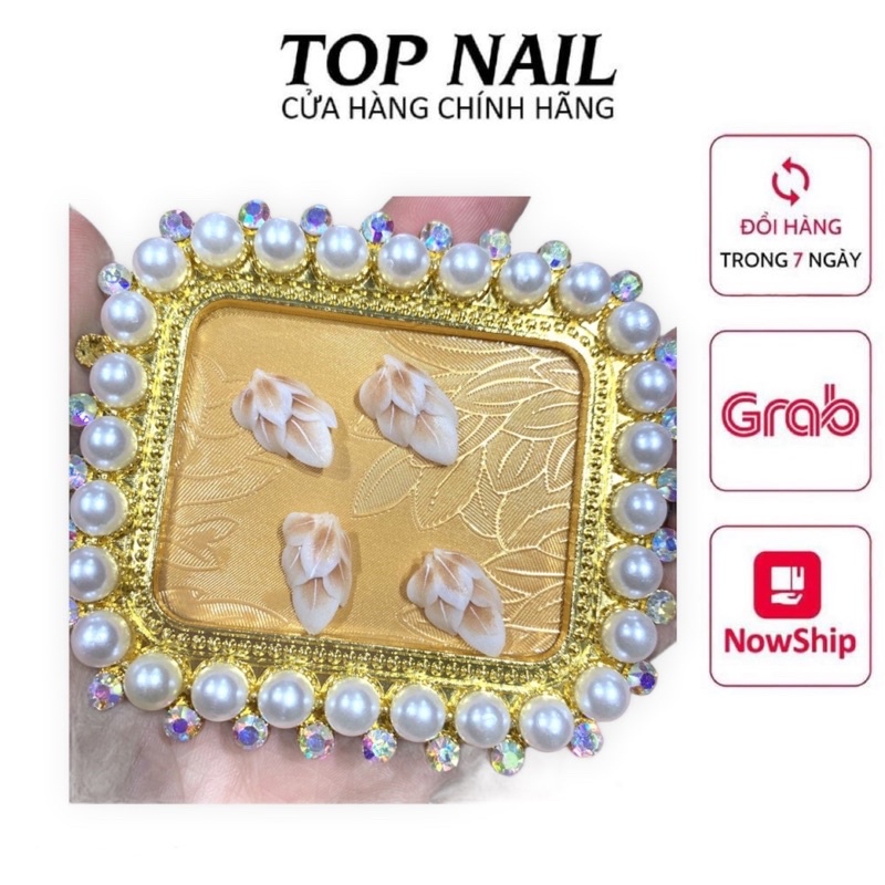 Hoa bột,hoa góc số 1 trang trí móng