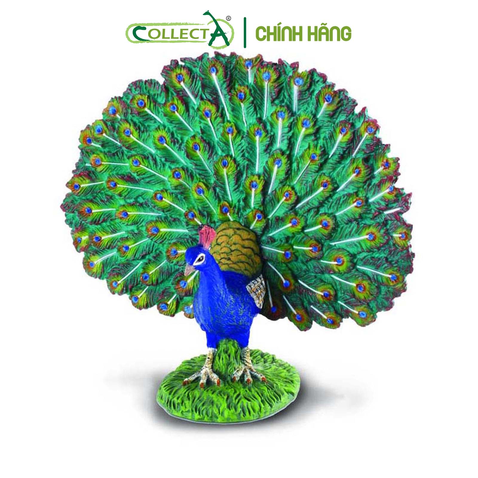 Đồ chơi mô hình động vật CollectA Công - Peacock