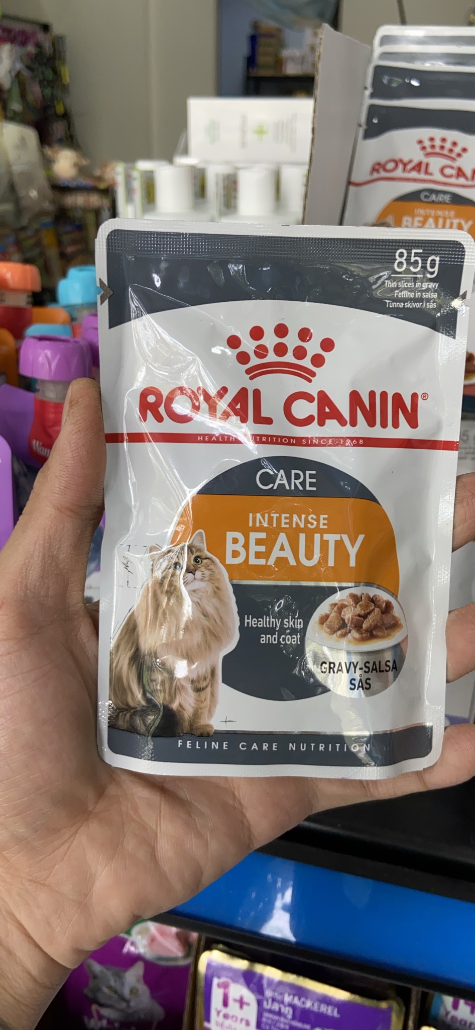 Pate Royal Canin Intense Beauty Dưỡng L&ocircng & Da Cho M&egraveo