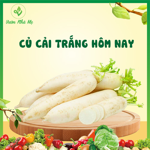 [Giao nội thành Hà Nội] Củ cải trắng Vườn Nhà Mẹ - 1kg củ cải ngọt mát, giàu vitamin - Rau củ quả tươi, sạch, chuẩn VietGap