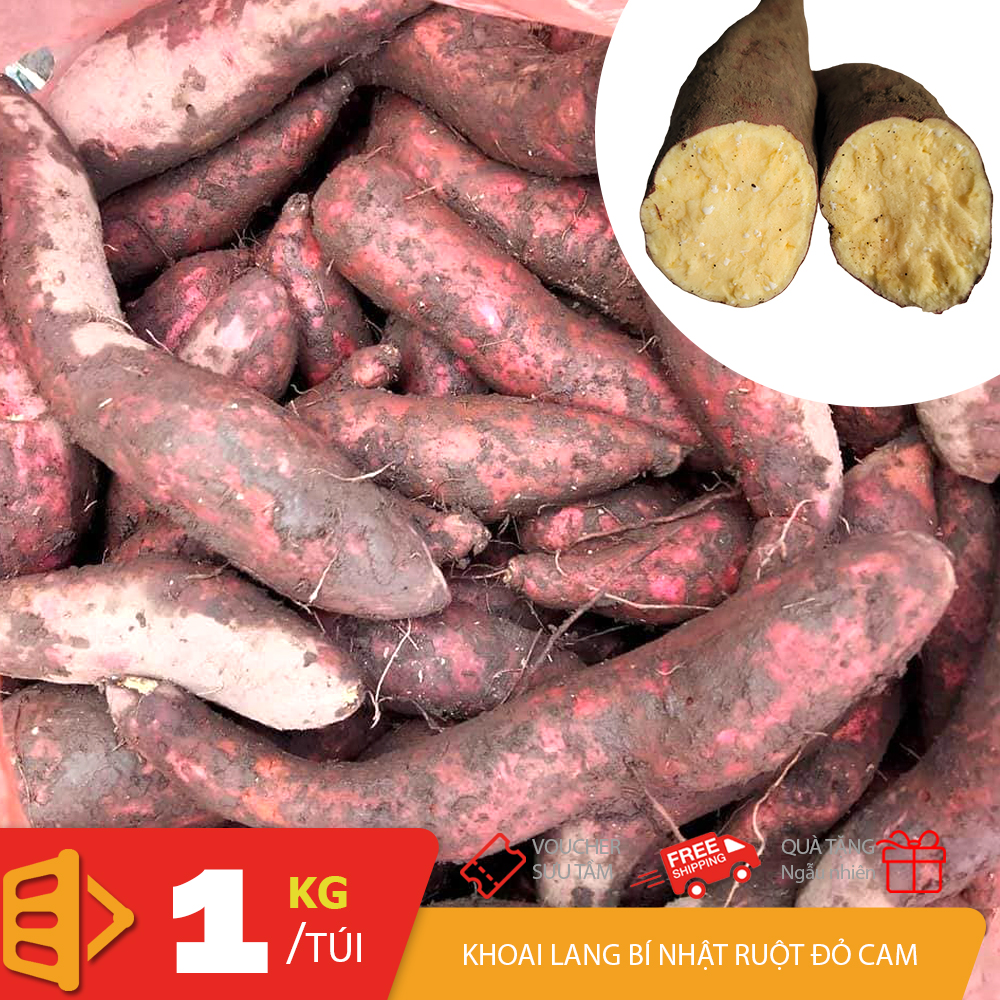 1KG Khoai lang bí đỏ giống Nhật ruột đỏ cam củ vừa khoai ngọt ăn ít sơ