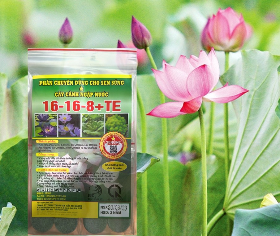 Phân bón cho hoa sen, hoa súng và cây cảnh ngập nước giúp cây ra nhiều hoa, thắm màu gói 24 viên