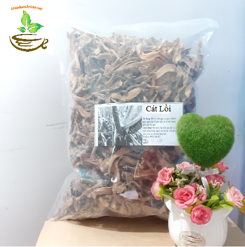 Cây cát lồi khô (mía dò)