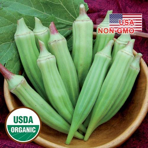 5Gr Hạt Giống Đậu Bắp Lùn Cao Sản Clemson (A1.106| G3*X54*M138)