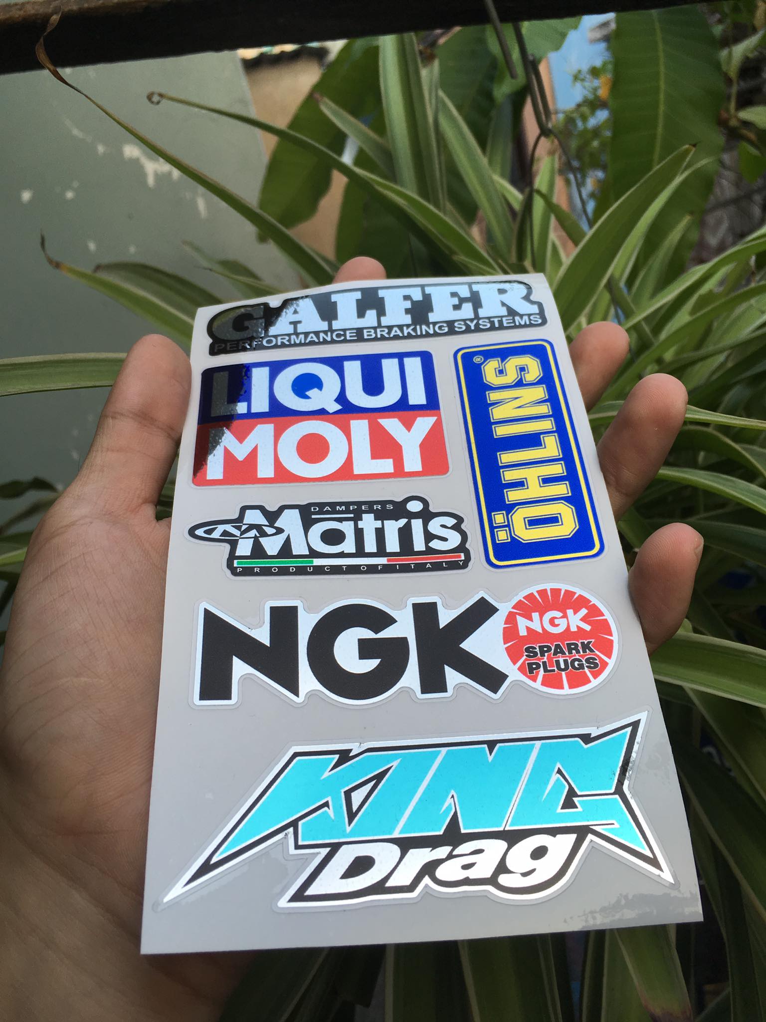 [HCM]TEM LOGO SI CROM KING DRAG GARFER LIQUI