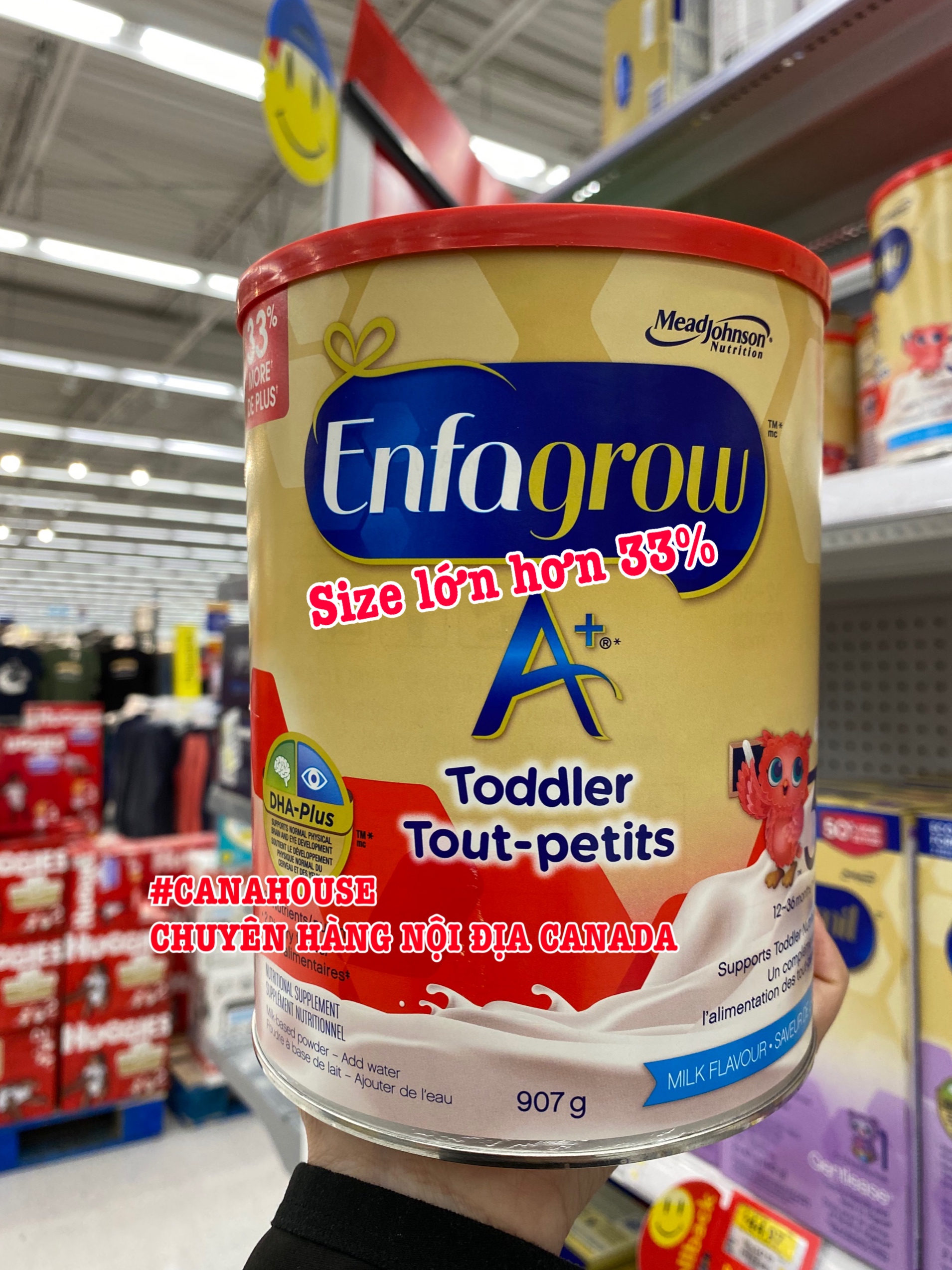 SIZE LỚN Sữa bột Enfagrow A+ Canada Số 3 907gr - Vị Sữa