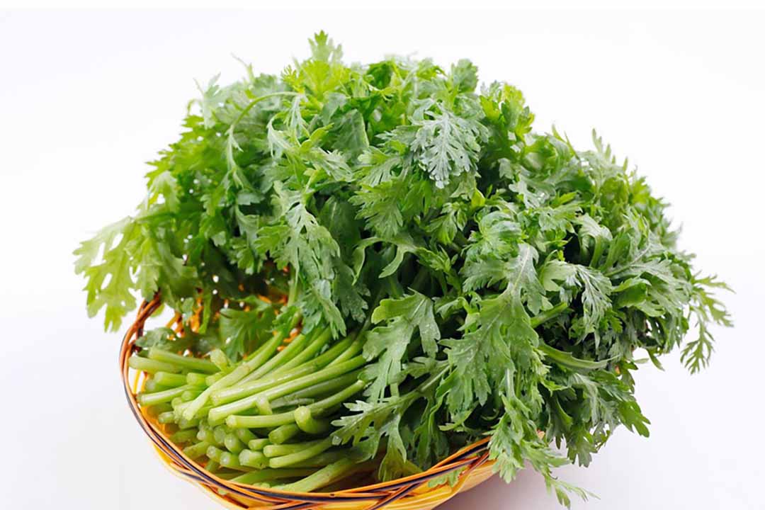 Hạt Giống Rau Tần Ô - hạt giống rau án lá