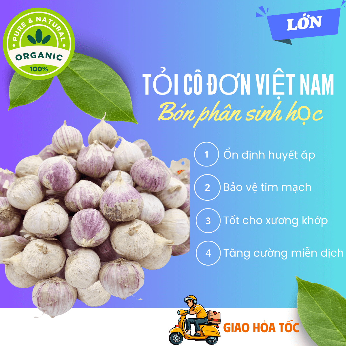 [Organic] [HCM] 5kg Tỏi cô đơn Việt Nam, tỏi mồ côi thơm ngon, tỏi 1 nhánh chắc củ loại LỚN không hóa chất tăng trưởng, tốt cho sức khỏe - thương hiệu VỢ CHỒNG TÔI