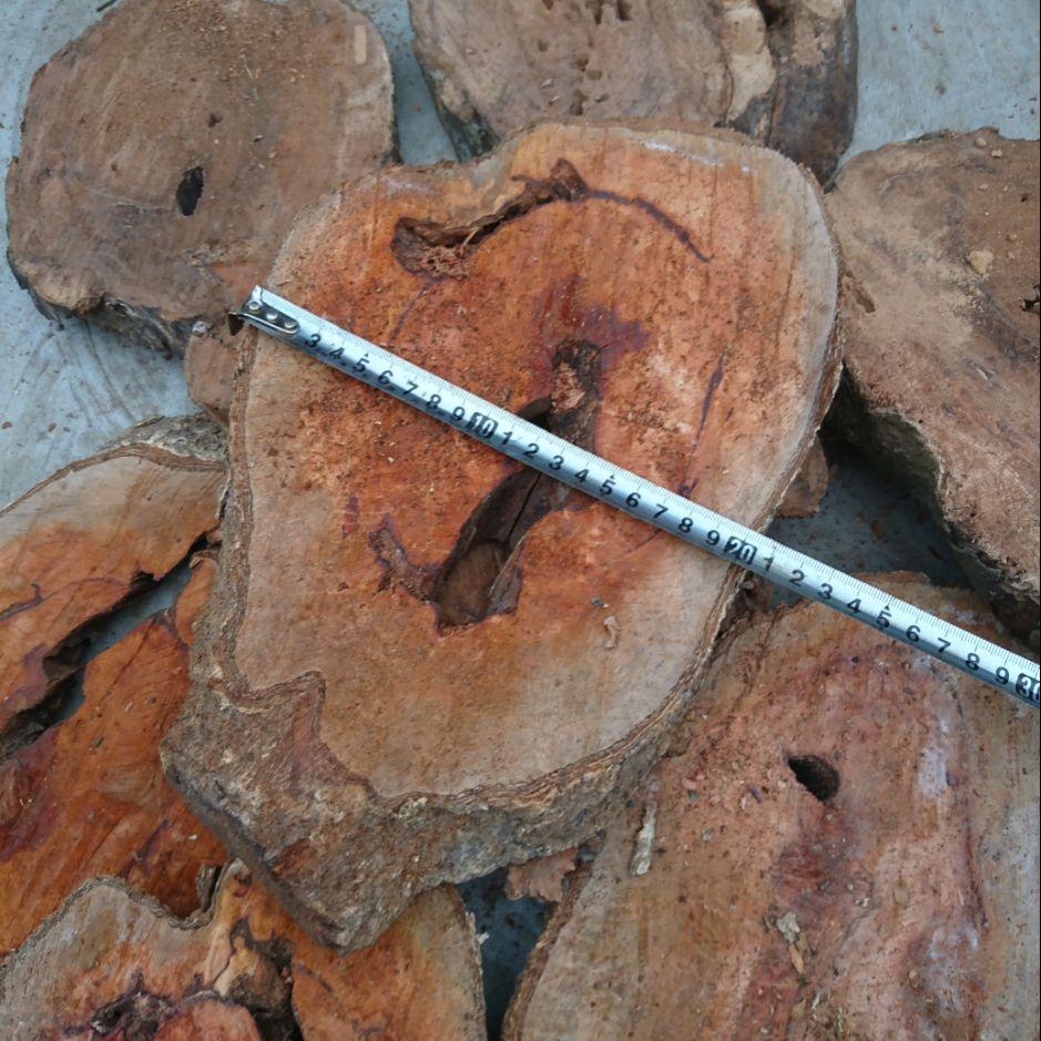Thớt nhãn ghép lan