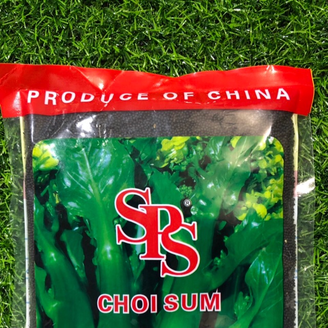 HẠT GIỐNG CẢI NGỒNG ĐẶC BIỆT SPS CHOI SUM No. 003