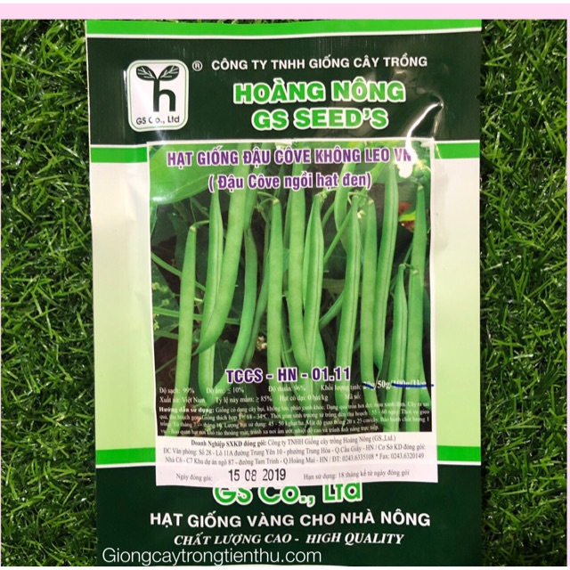 Hạt giống đậu cô ve không leo vn- cô ve ngồi 50gr