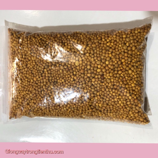 Phân bón chậm tan hạt vàng thái lan 500gr