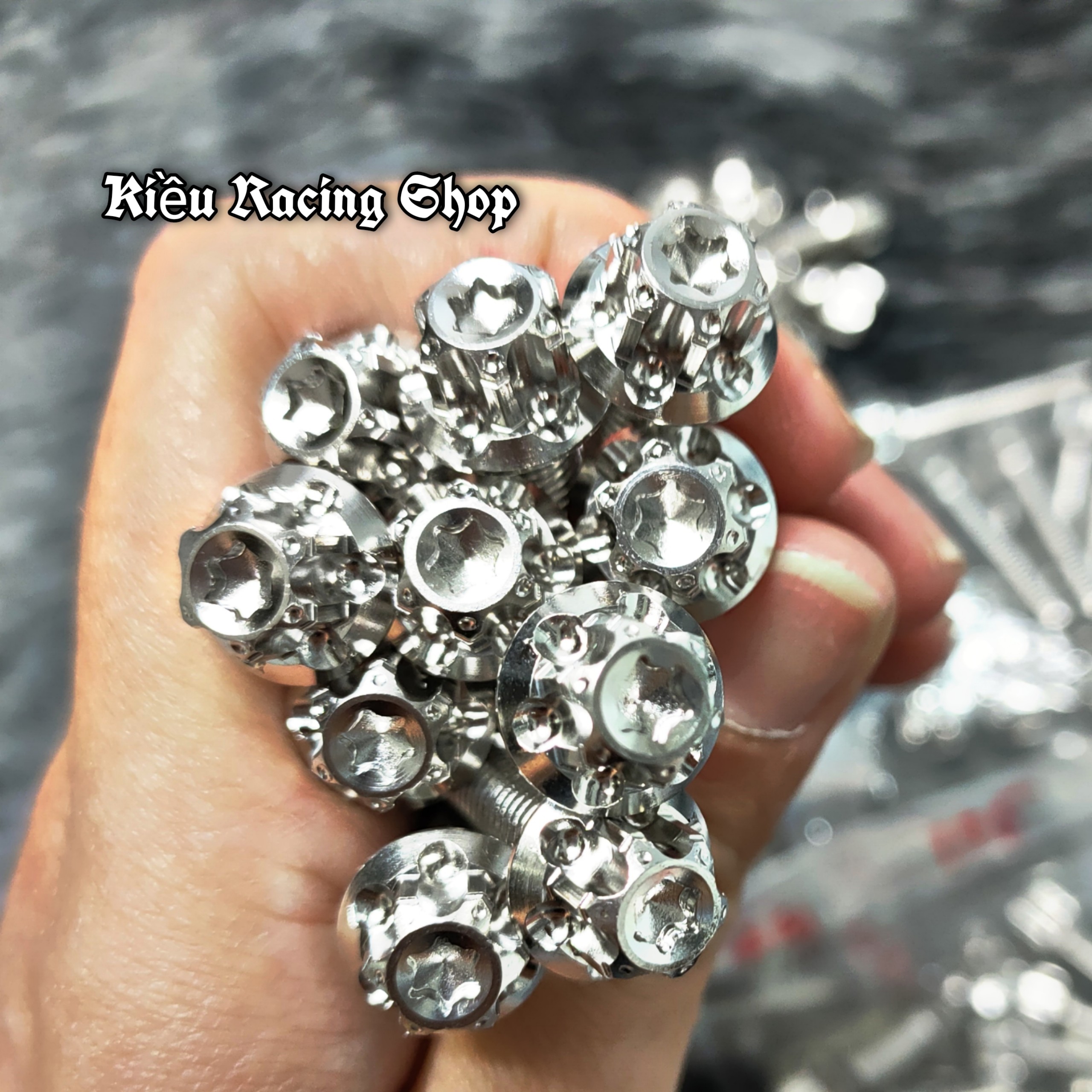 [Mẫu Mới CNC] Bộ Ốc Lốc Máy Salaya Inox 304 Dành Cho Nhiều Dòng Xe Máy - Sirius (17con)