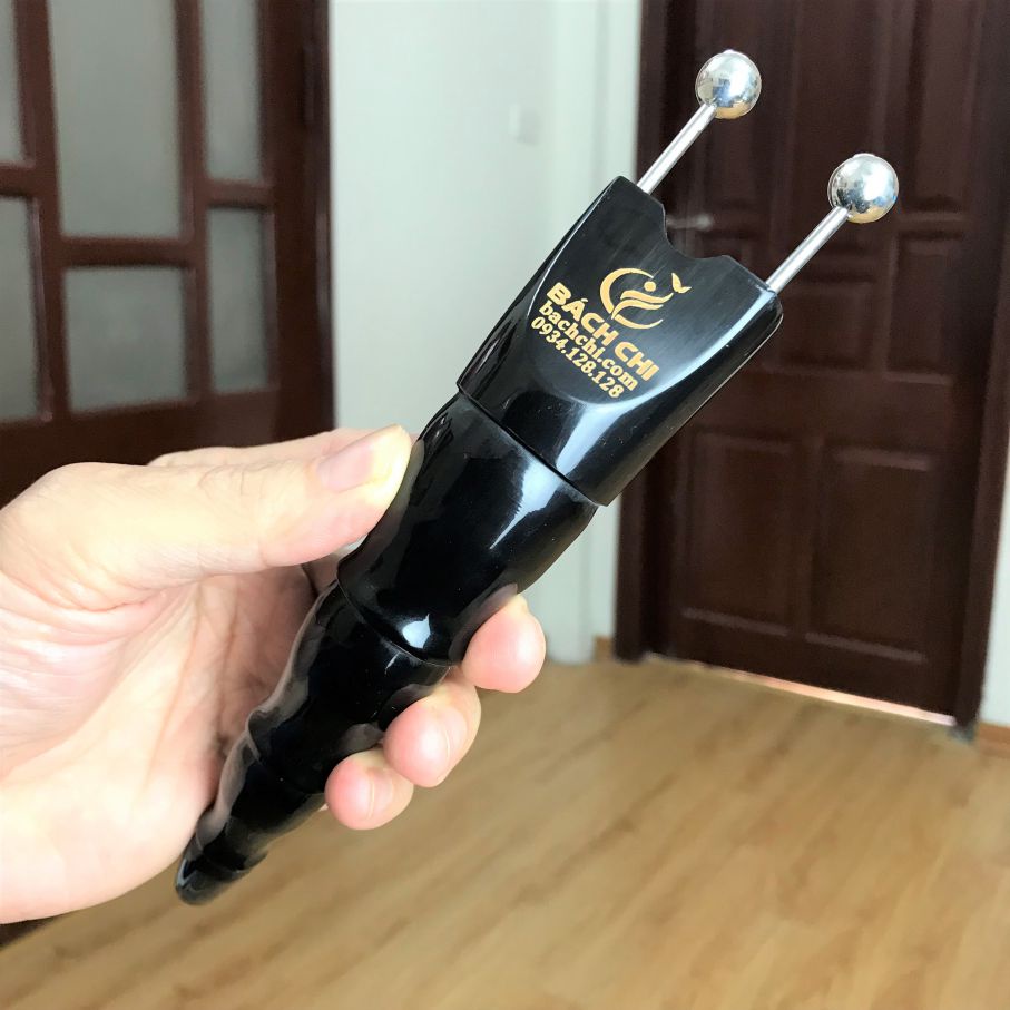 Bọ cạp sừng đầu bạc Bách Chi đánh gió giải cảm
