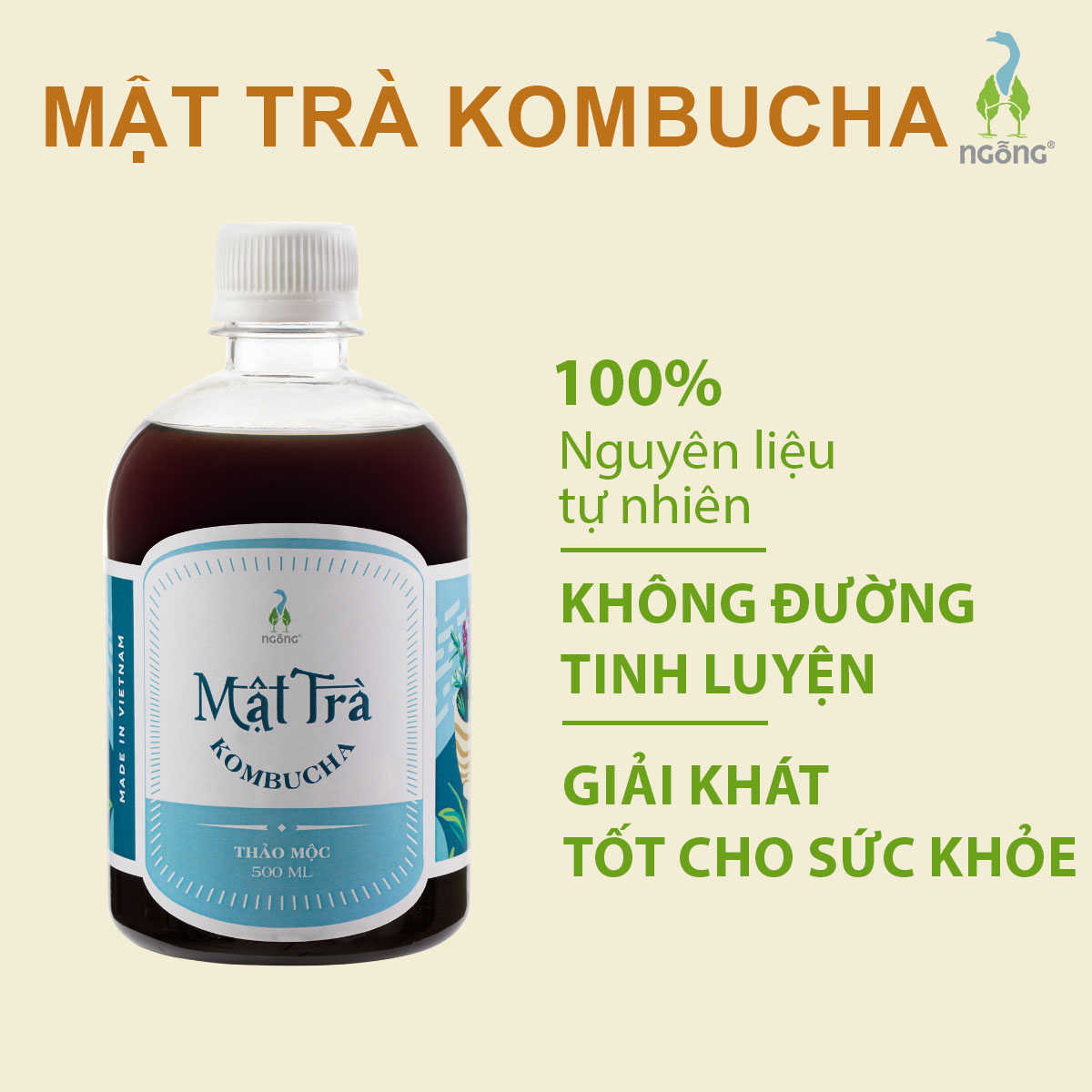 Mật Trà KombuchaThảo Mộc 500ml