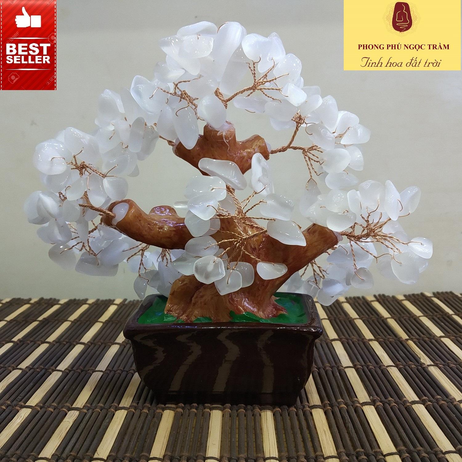 Cây phong thủy, cây tài lộc đá tự nhiên trắng