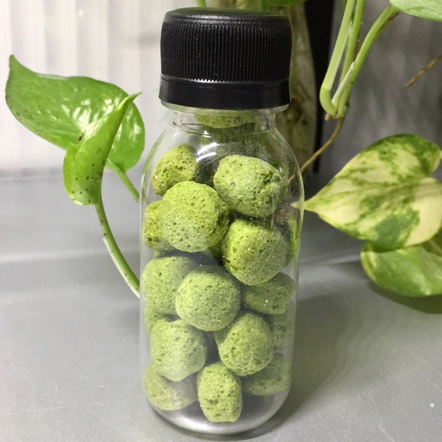 [Chai7k] Bánh mài rau xanh dành cho hamster