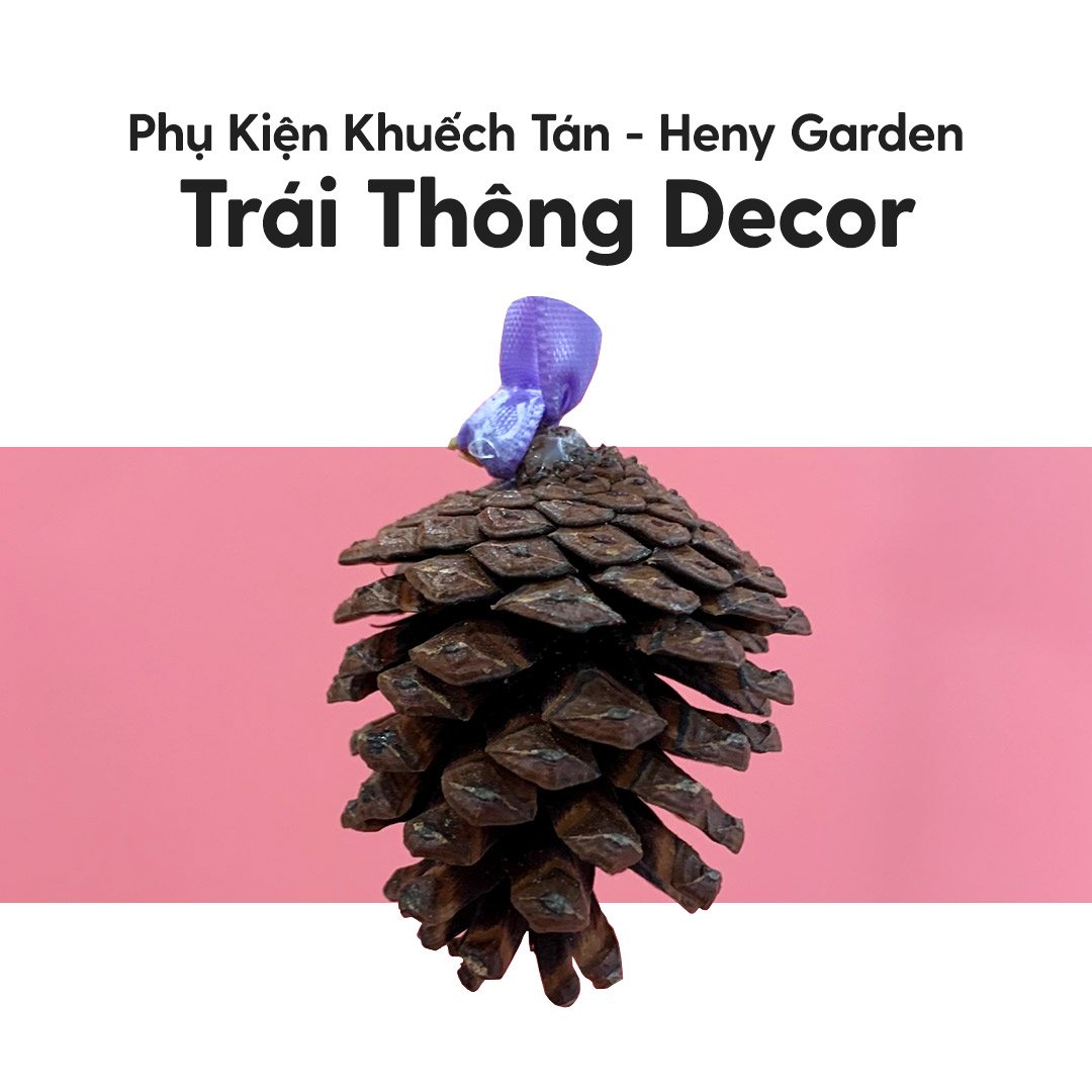 Quả Thông Quà Tặng Treo Khuếch Tán Tinh Dầu Làm Thơm Phòng HENY GARDEN