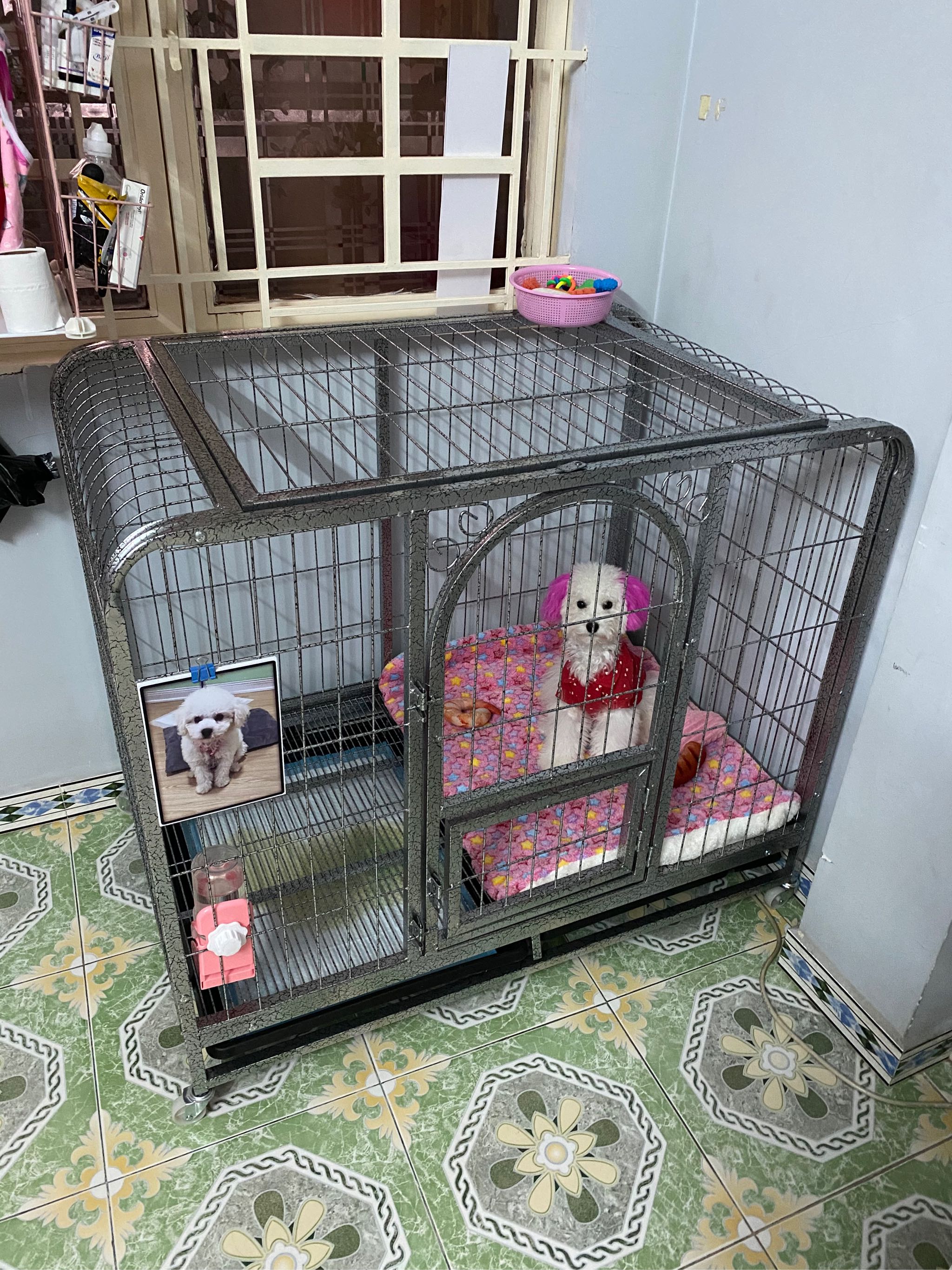 Chuồng Size Đại 1M1 vân đá dành cho chó lớn ( BECGIE, HUSKY, ALASKA ) - có 2 cửa lớn kèm khay khay vệ sinh .