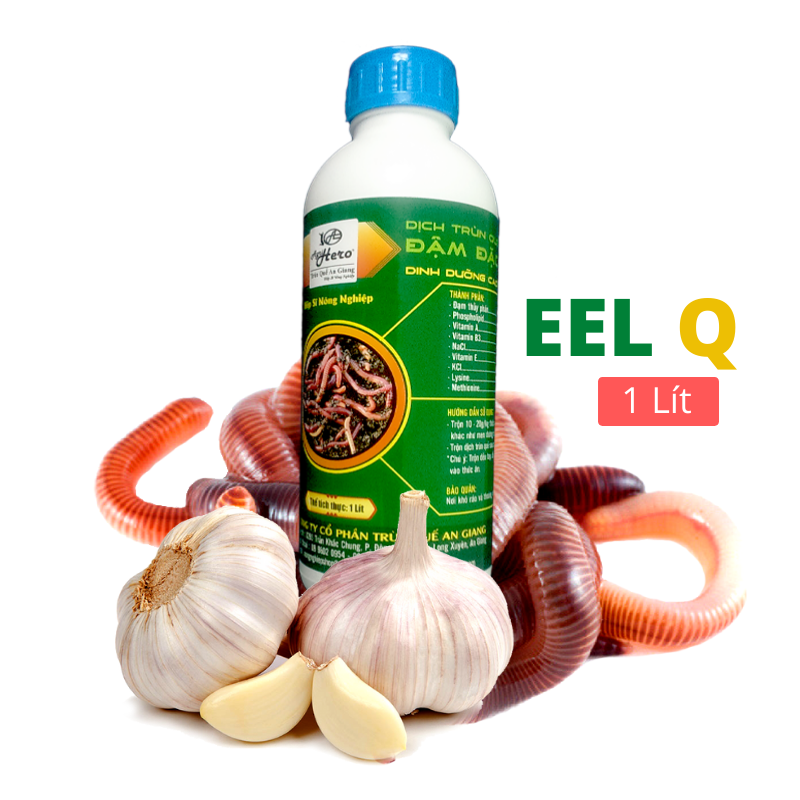 Bỗ sung dinh dưỡng đạm cho lươn, cá và baba