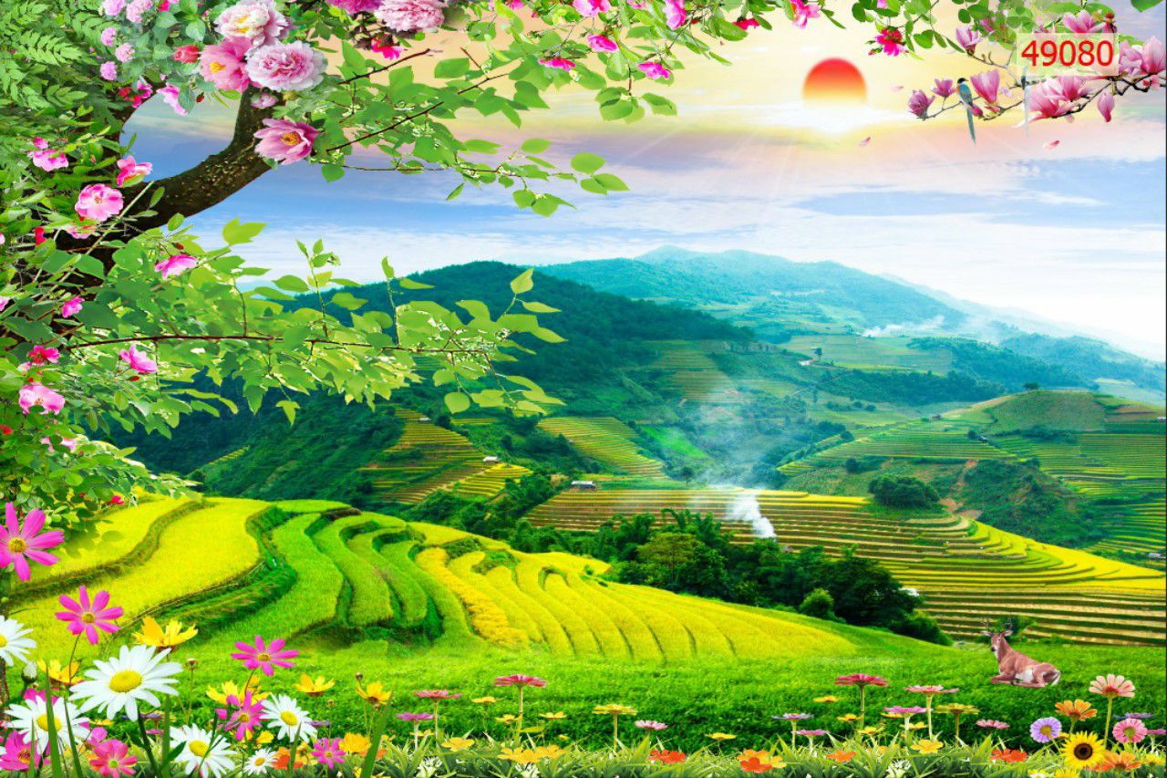 Tranh dán tường phong cảnh ruộng bậc thang 3D in trên chất liệu lụa cao cấp