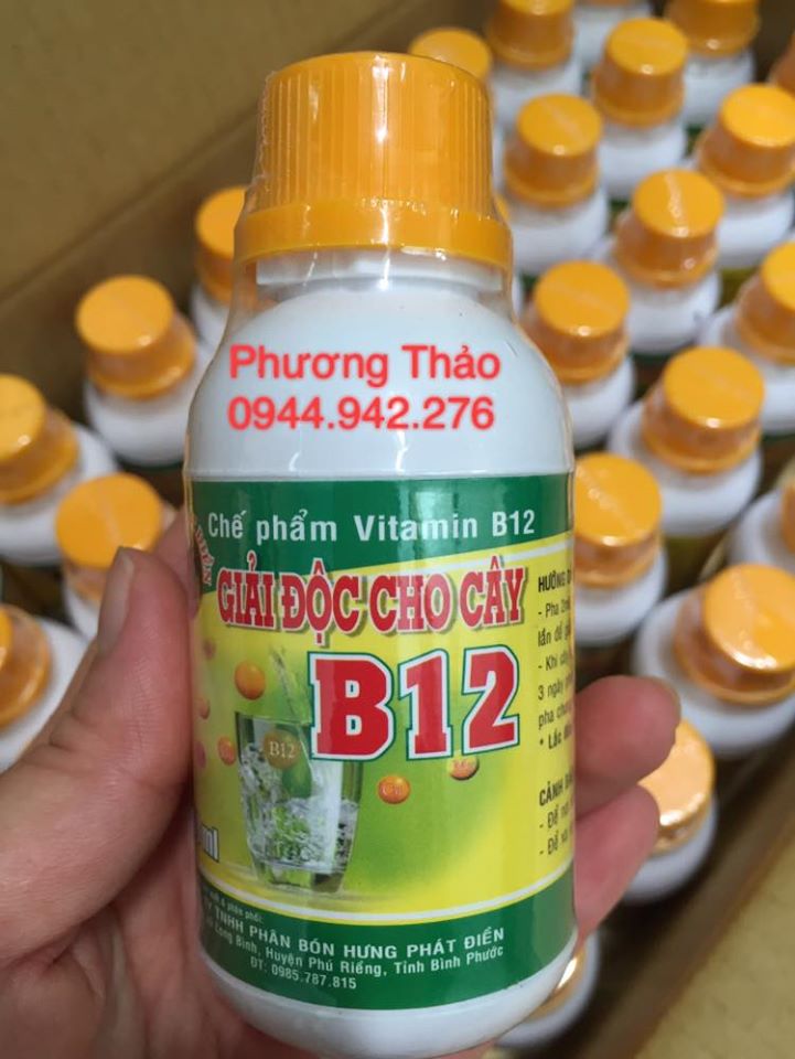 Giải độc B12 cho cây