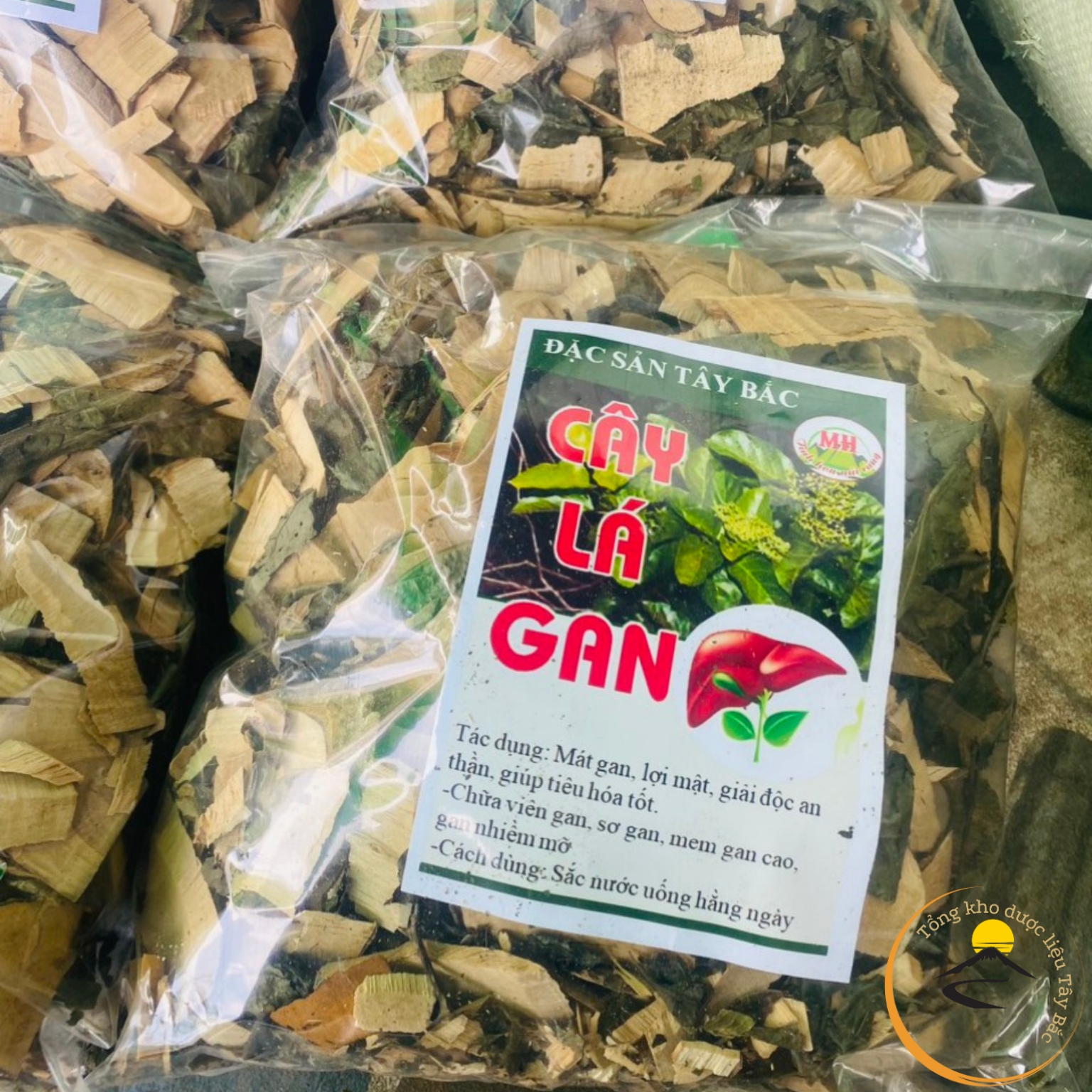 Cây lá mát gan rừng Tây Bắc giúp giải độc gan, giải rượu, hỗ trợ thanh nhiệt mát gan, tăng cường chức năng gan