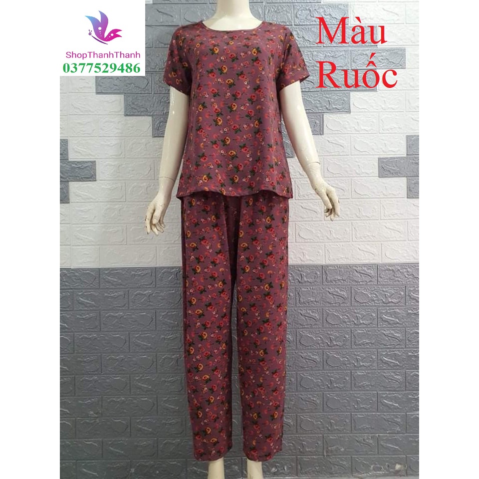 Đồ bộ mặc nhà big size tôn nhung trung niên shopthanhthanhhcm