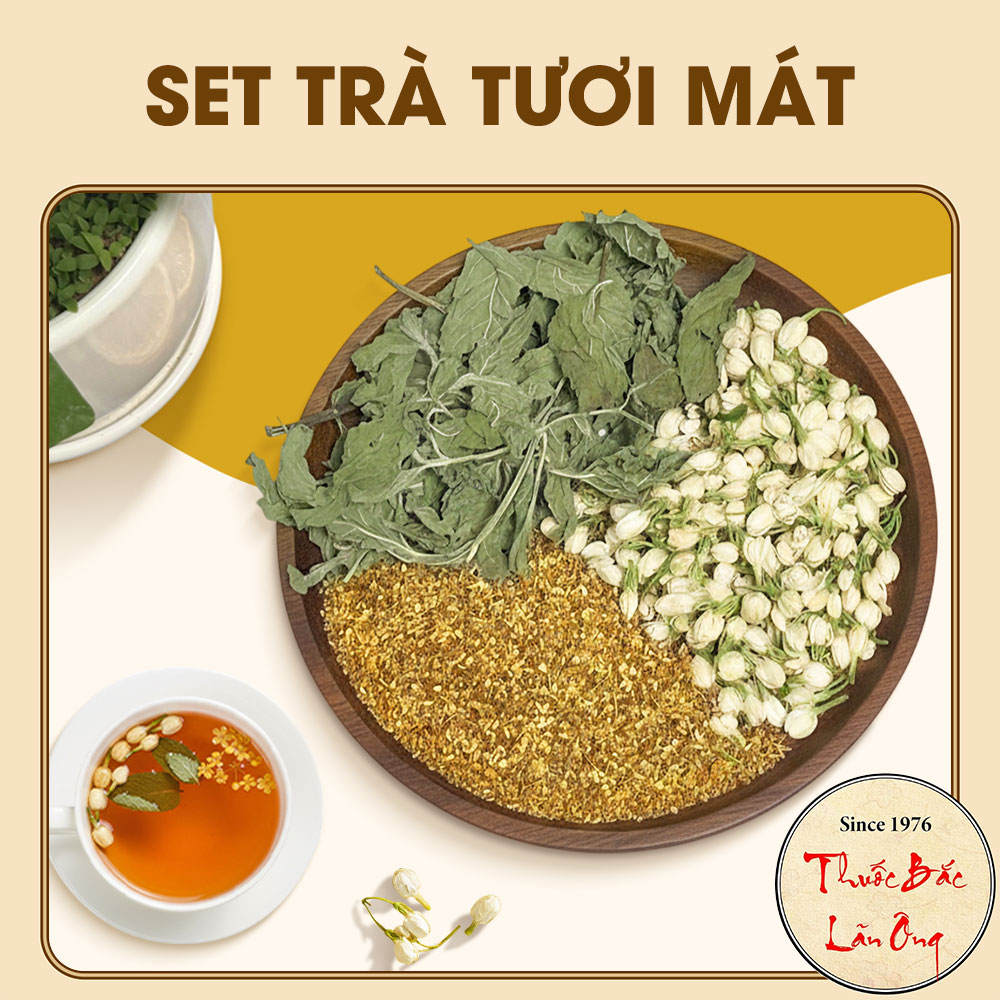 Set trà tươi mát, lưu giữ hương thơm, hơi thở thanh mát, gồm: hoa nhài, bạc hà, quế hoa - Lãn ông