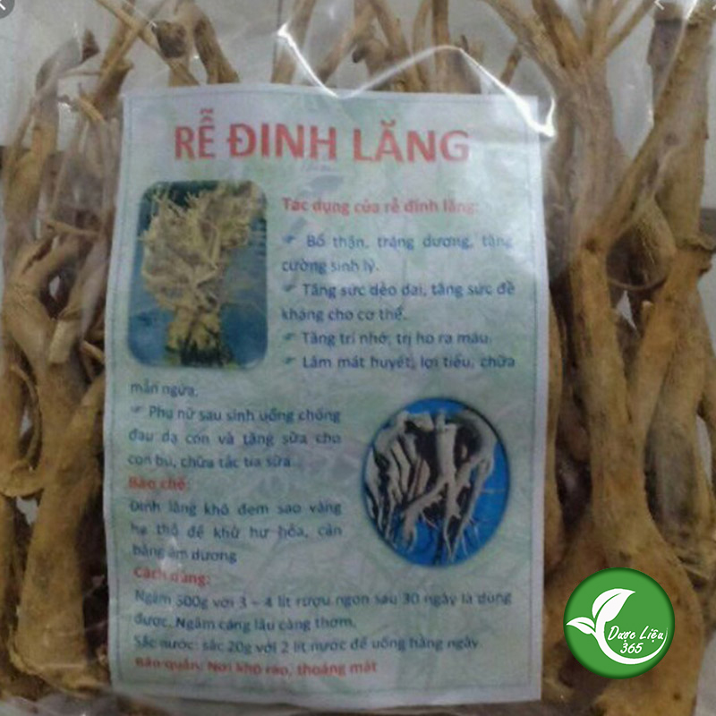 Rễ đinh lăng - dl049