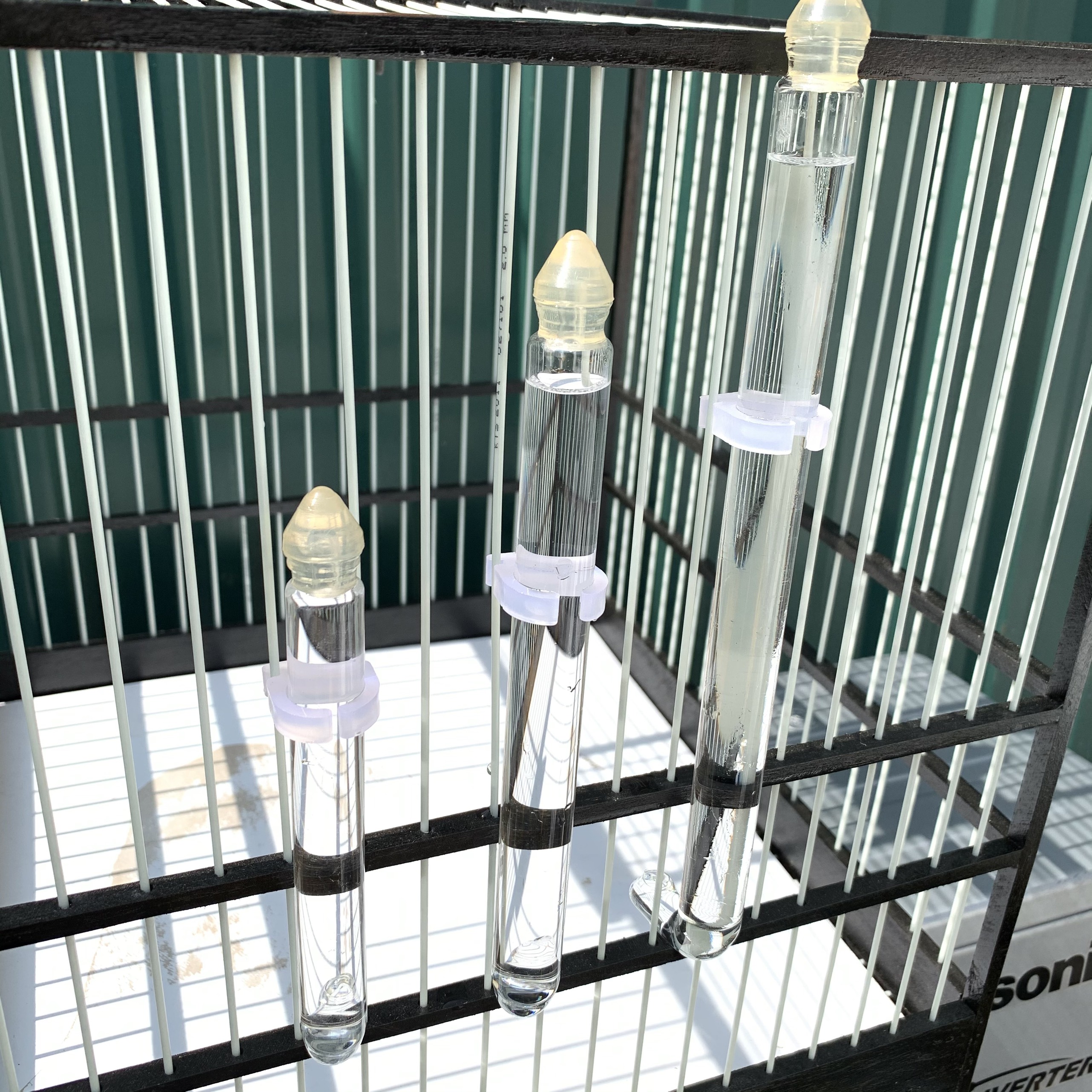 Ống uống nước cho chim cảnh , chào mào, chích chòe, vành khuyên, loại ống thủy tinh