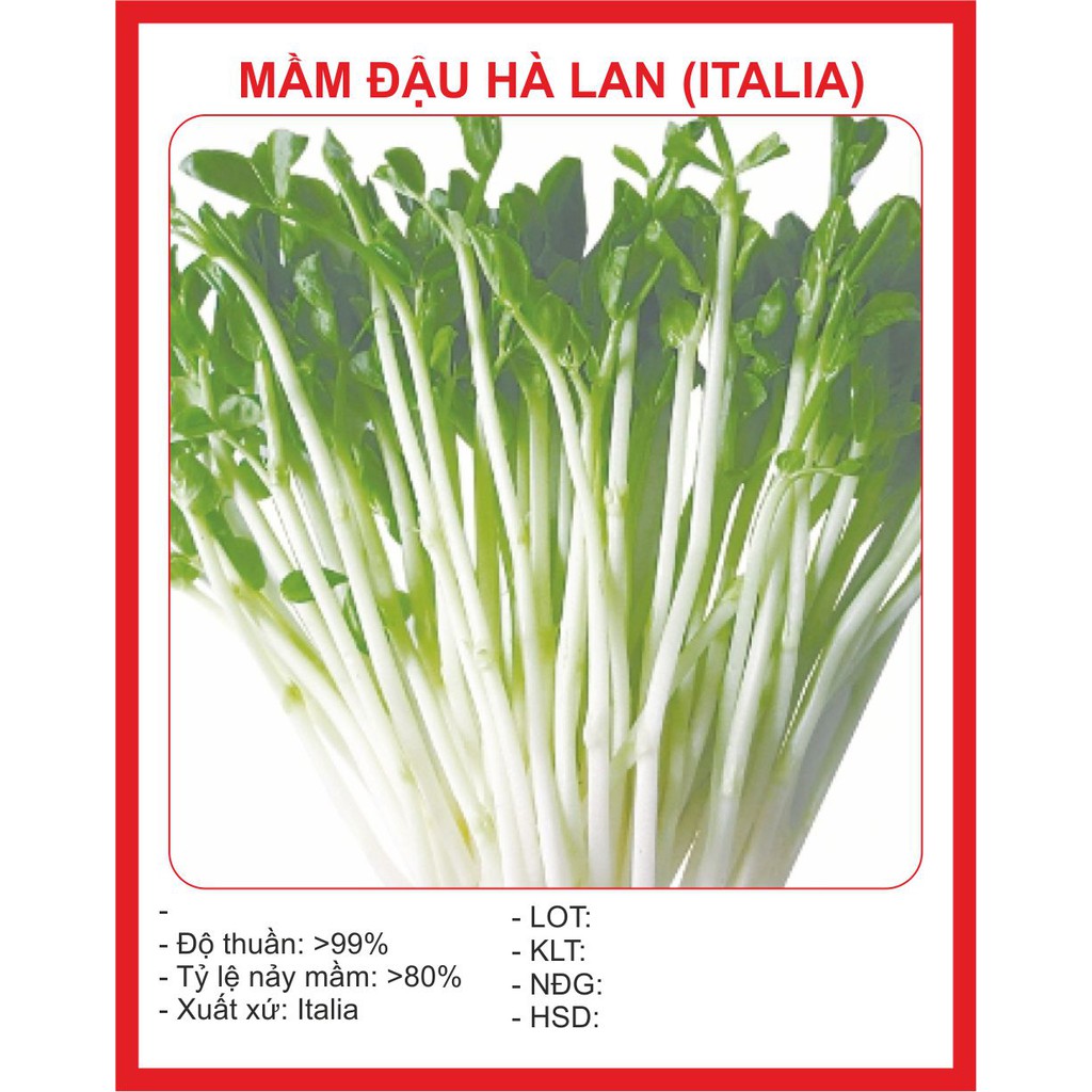 Hạt giống mầm đậu hà lan - 50gram