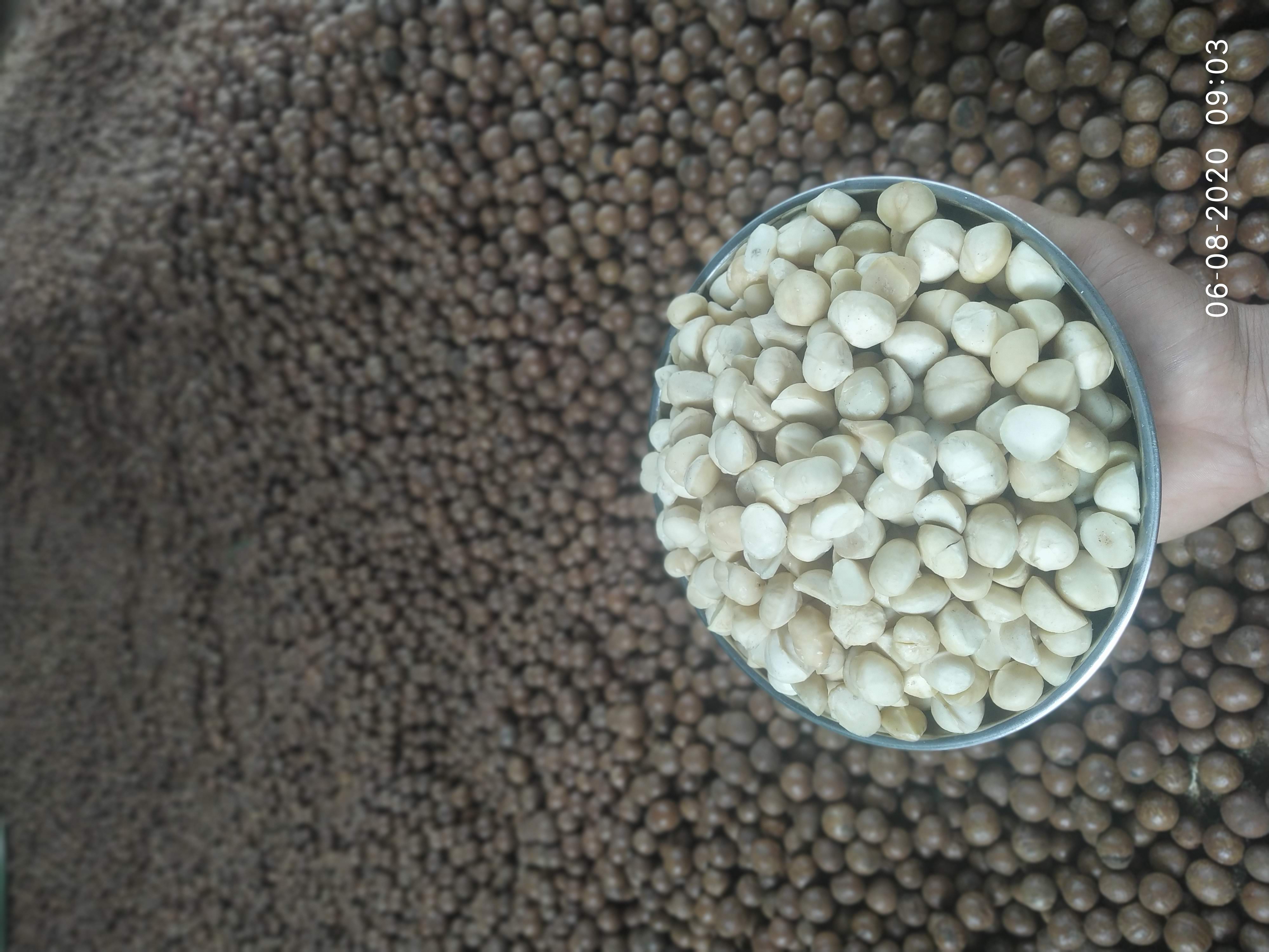 500g nhân mắc ca sấy loại 1 ăn liền