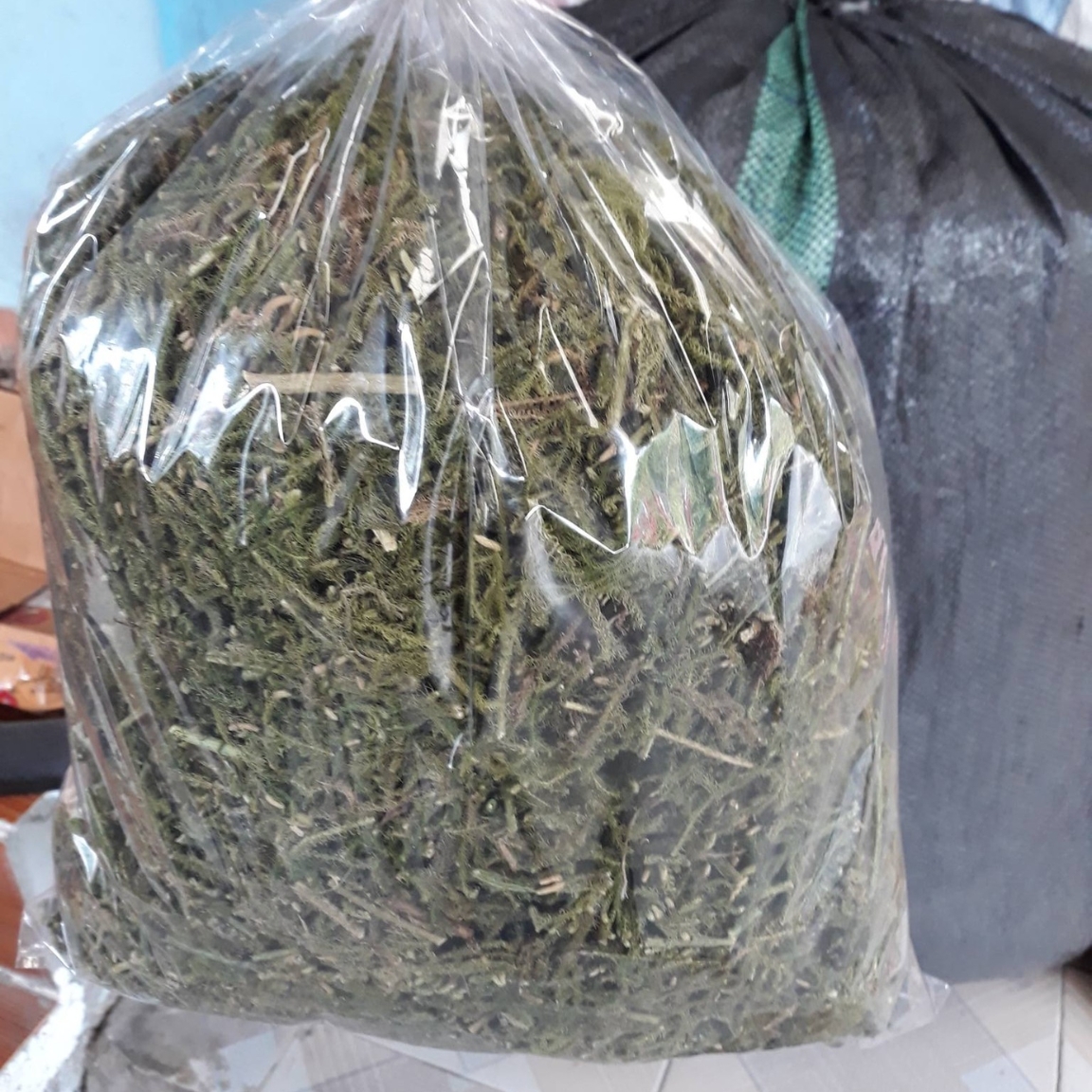 Dry Soil Pine Needles Support Brain Shrinkage Type 1 (500g, 1kg). The Pine Tree Plant Helps Prevent Memory Loss and Alzheimer's Dementia.