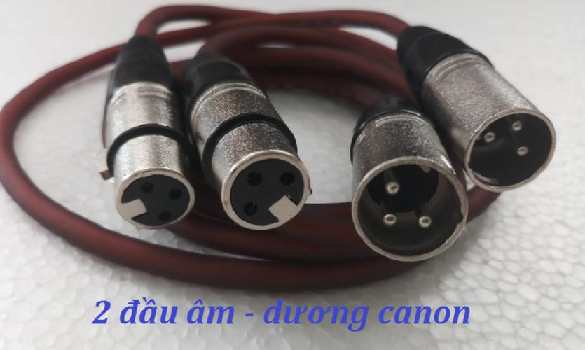 Combo 2 dây Canon kết nối vang karaoke ra amply