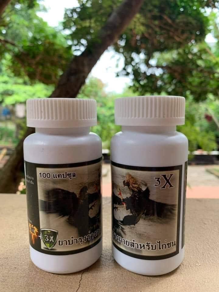 Kích lực 3x vip tăng bo khủng số 1 thái lan