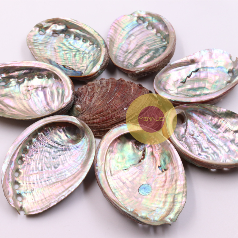 Combo 2 vỏ bào ngư ánh cầu vồng đẹp đựng trang sức decor handmade, vỏ ốc xà cừ nhỏ đốt palo santo