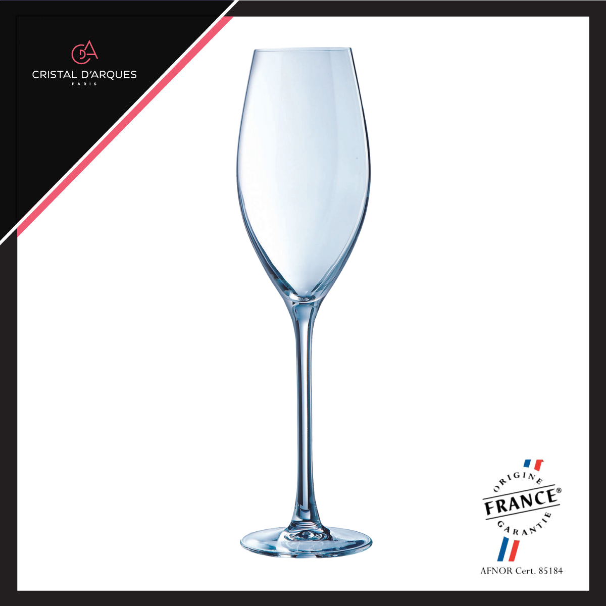 Bộ 6 Ly Champagne Pha Lê Cristal D'Arques Wine Emotions 240ml - ECWIL7591