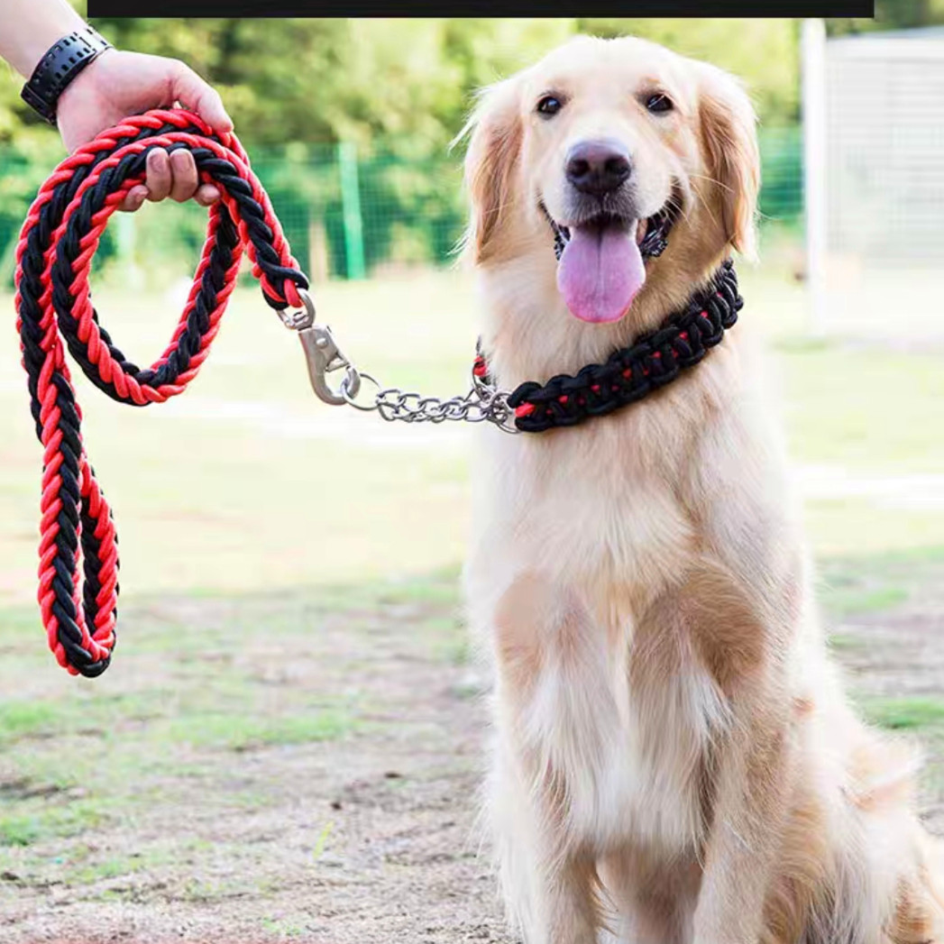 Dây dắt chó lớn bằng dây thừng bện tết 2 màu siêu chắc chắn