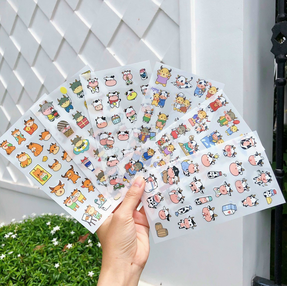Sét 6 tấm sticker dán hình bò sữa