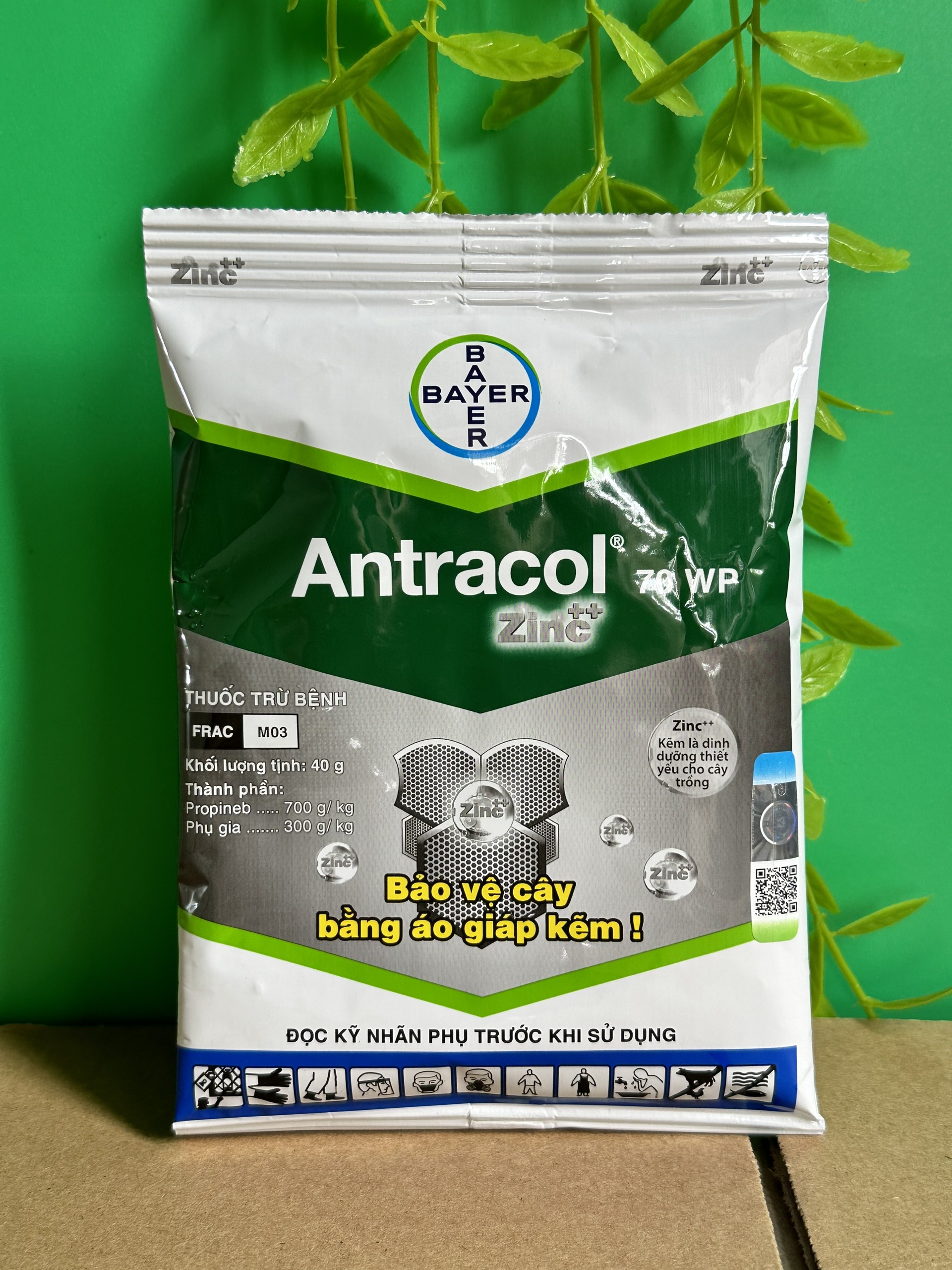 Antracol diệt nấm đốm lá, thán thư, sương mai trên cây trồng dành cho hoa lan cây cảnh