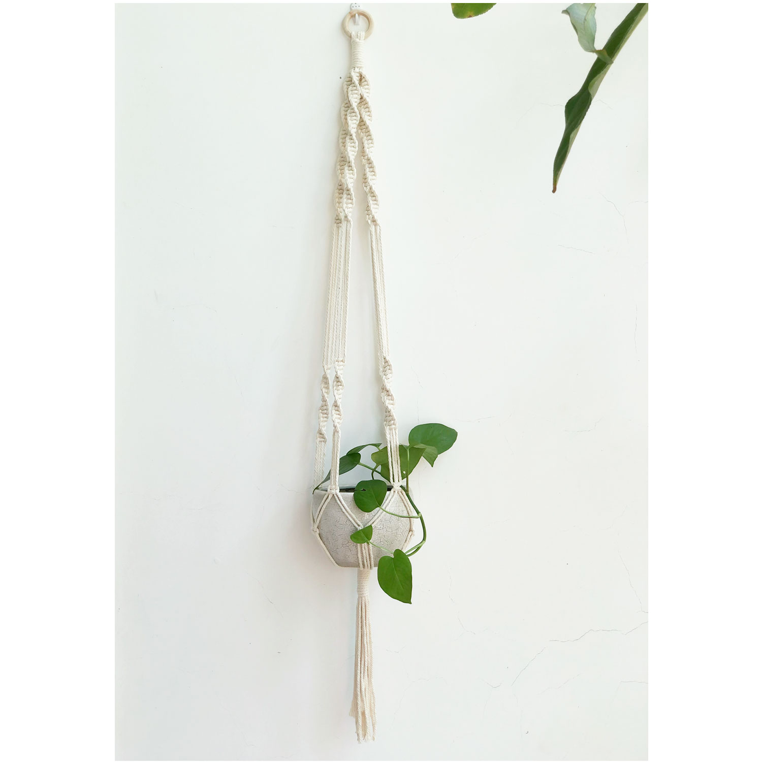 Dây treo chậu cây arata amph006