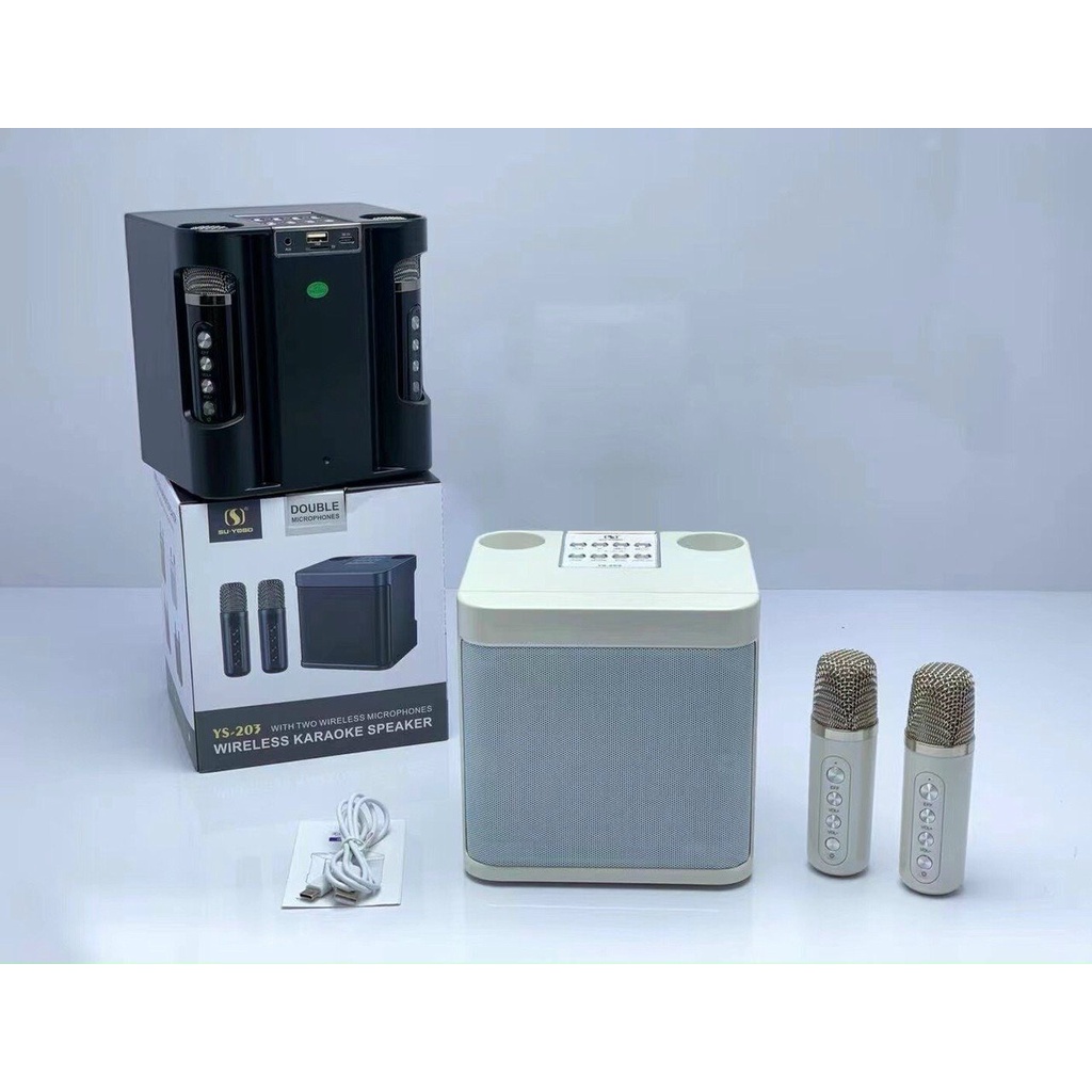 Loa Karaoke Mini Ys-203