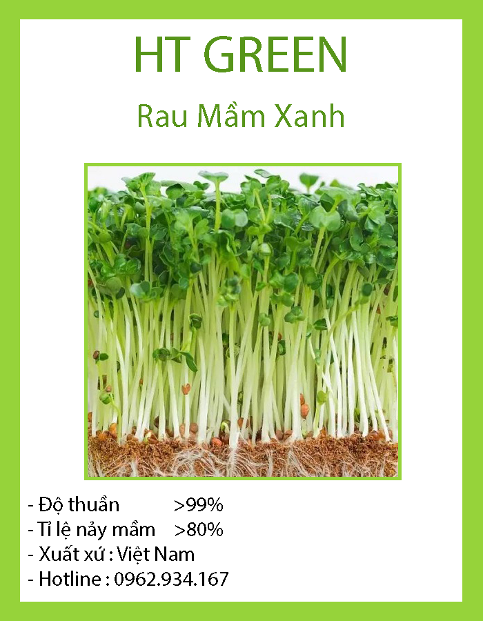 Hạt Giống Rau Mầm Xanh