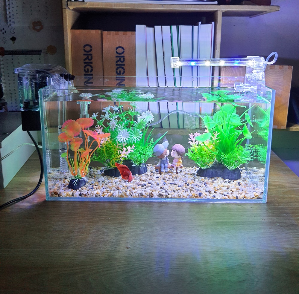 Bể cá 33 cm với 8 món (bể 33cm, sỏi nền, máy lọc, 2 cây nhựa vừa, cây nhựa mini, pk cặp đôi ngồi ghế, đèn led 4W)