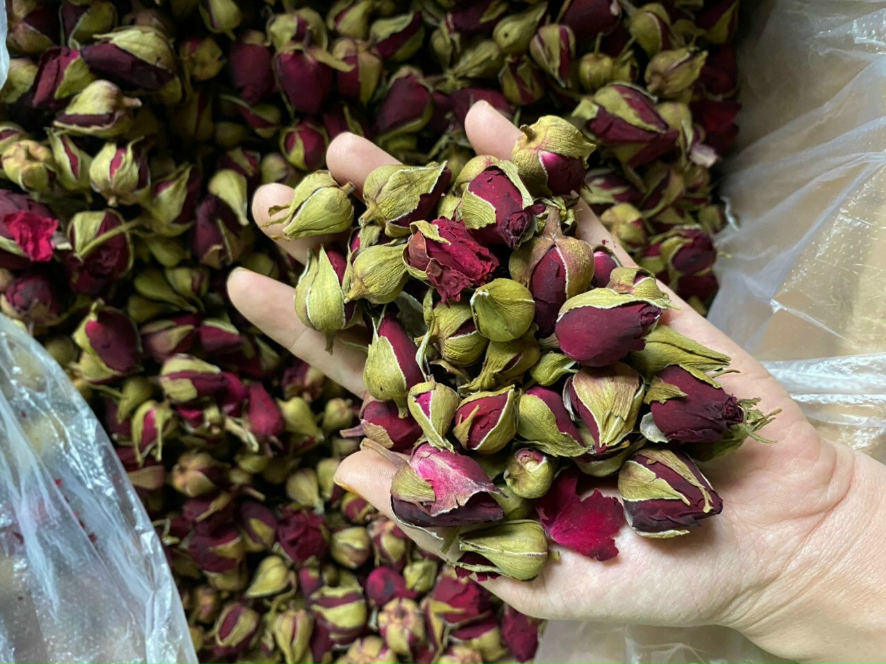 [HCM]100gr nụ hồng mai khôi sấy khô nguyên chất hàng chuẩn loại 1