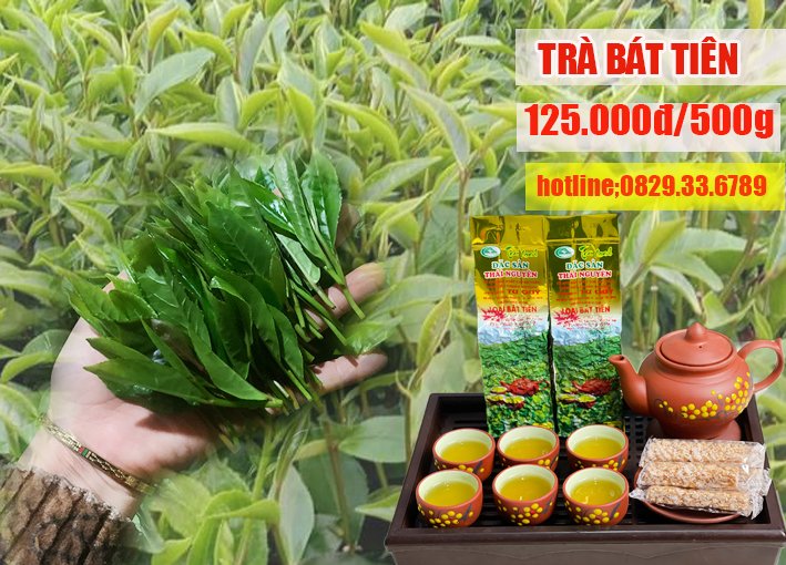 Trà bát tiên Thái Nguyên(5 gói 100g)