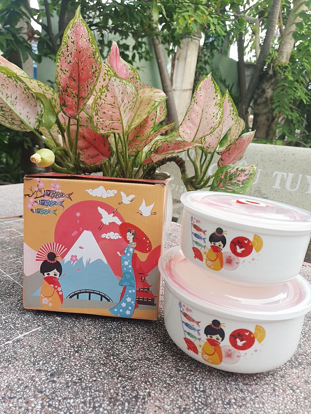 Thố sứ có nắp hút chân không. 2tho