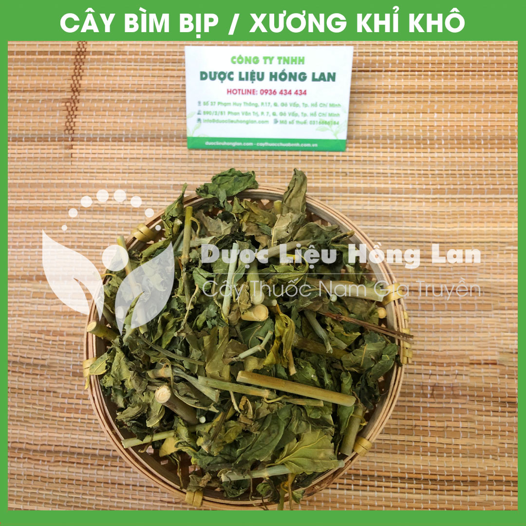 Cây Bìm Bịp  khô